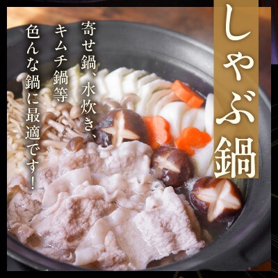 【丸善味わい加工】国産 豚肉しゃぶしゃぶセット2.4kg もも/肩ロース スライス 099H2597