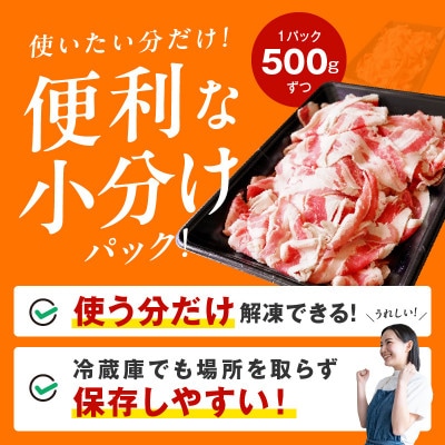 【丸善味わい加工】牛バラ肉 切り落とし 2kg(500g×4)小分け 簡単調理 099H2600