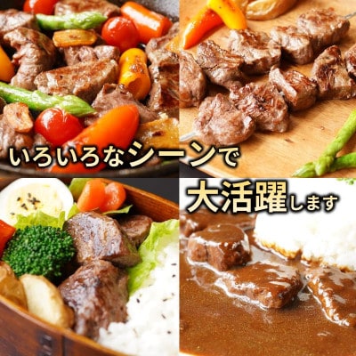 【訳あり】牛ヒレ肉のサイコロステーキ 1.2kg 丸善味わい加工 099H2577