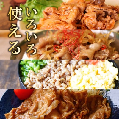 【極味付け肉】国産 豚肉 4種セット 合計1.5kg 099H2636