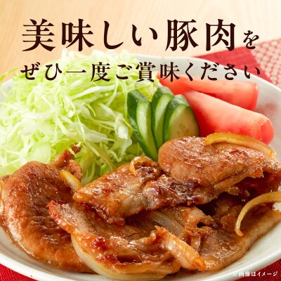 【極味付け肉】国産 豚肉 4種セット 合計1.5kg 099H2636