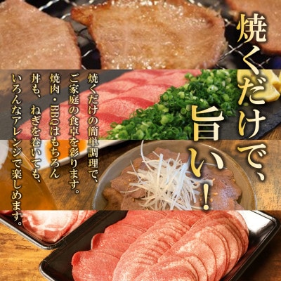 【氷温熟成×極味付け】牛たん スライス 500g(250g×2) mrz0017