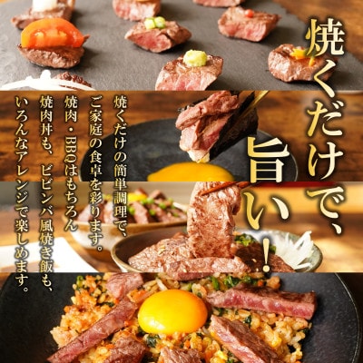 【氷温熟成×極味付け】牛肉 ハラミ 1kg(250g×4) mrz0021