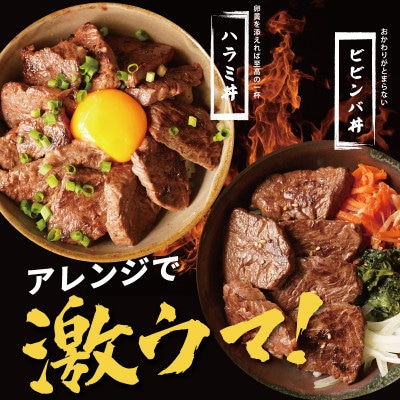 【氷温熟成×極味付け】牛肉 ハラミ 1.5kg(250g×6) mrz0022