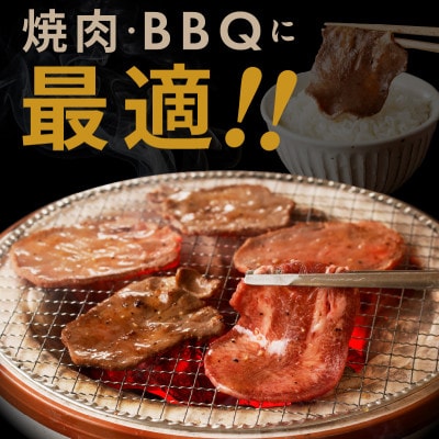 【氷温熟成×旨塩ダレ】牛たん 500g スライス 焼肉用 訳あり サイズ不揃い mrz0079
