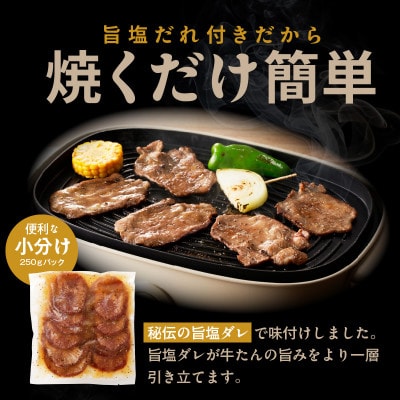 【氷温熟成×旨塩ダレ】牛たん 750g スライス 焼肉用 訳あり サイズ不揃い mrz0080