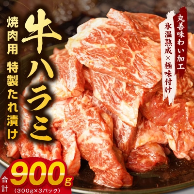 【氷温熟成×特製ダレ】牛肉 ハラミ 900g(300×3) mrz0026