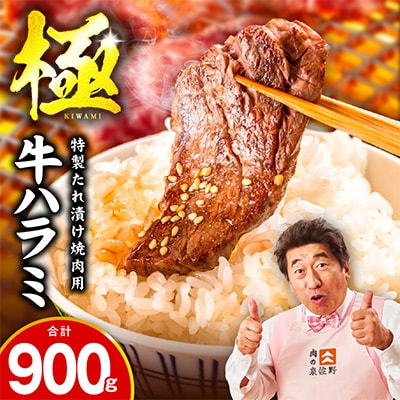 【氷温熟成×特製ダレ】牛肉 ハラミ 900g(300×3) mrz0268-1