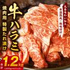 【氷温熟成×特製ダレ】牛肉 ハラミ 1.2kg(300×4) mrz0027