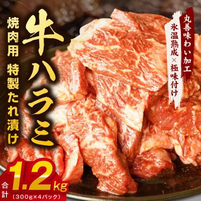【氷温熟成×特製ダレ】牛肉 ハラミ 1.2kg(300×4) mrz0027