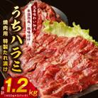 【氷温熟成×特製ダレ】希少部位 牛肉 うちハラミ 1.2kg(400g×3) mrz0029
