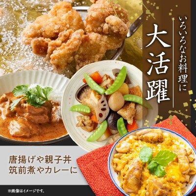 【氷温熟成×極味付け】国産 鶏肉もも カット済み 3kg 小分け 250g×12P mrz0107