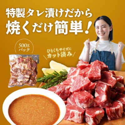 【氷温熟成×特製ダレ】やわらか牛ヒレ肉  1.5kg 訳あり サイコロステーキ mrz0039