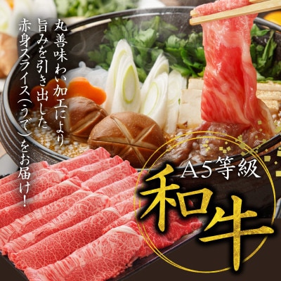 【氷温熟成×極味付け】【A5等級和牛】赤身スライス 1kg 小分け すき・しゃぶ用 mrz0047