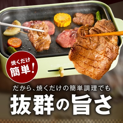 厚切り牛たん 1kg 小分け 500g×2P 氷温熟成×極味付け肉 mrz0100