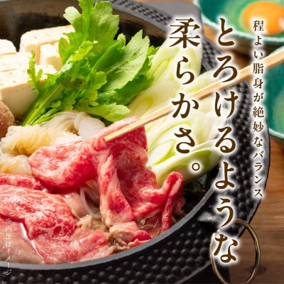 【A4ランク】黒毛和牛 すきしゃぶ用 500g 【氷温熟成×極味付け】 mrz0127