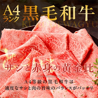 【A4ランク】黒毛和牛 すきしゃぶ用 500g 【氷温熟成×極味付け】 