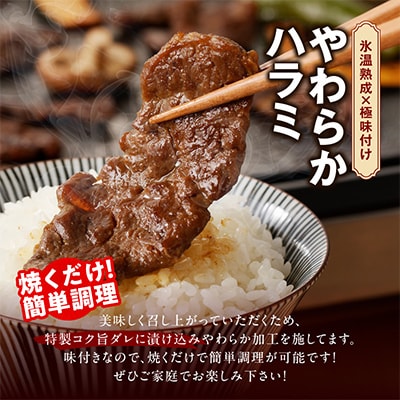 【さとふる限定】焼肉福袋 3種1.5kg 氷温熟成×特製ダレ 