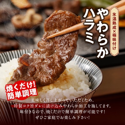 焼肉福袋 4種2kg(牛タン/ヒレ/ハラミ/バラ) 氷温熟成×特製ダレ mrz0336