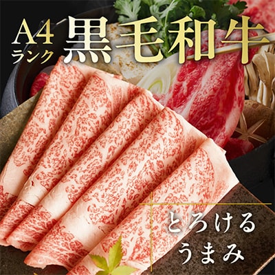 【A4ランク】黒毛和牛 リブサーロイン スライス 800g 氷温熟成×極味付け 