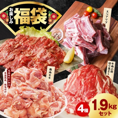 肉福袋4種1.9kg(牛肉切り落とし/牛ハラミ/スペアリブ/鶏肉)氷温熟成×極味付け mrz0327
