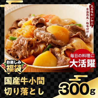 肉福袋4種1.9kg(牛肉切り落とし/牛ハラミ/スペアリブ/鶏肉)氷温熟成×極味付け mrz0327