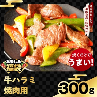 肉福袋4種1.9kg(牛肉切り落とし/牛ハラミ/スペアリブ/鶏肉)氷温熟成×極味付け mrz0327