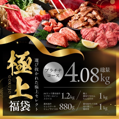 極上福袋 プラチナコース 5種 4kg以上 牛肉 氷温熟成×極味付け mrz0339