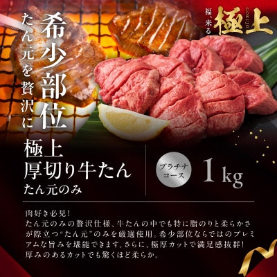 極上福袋 プラチナコース 5種 4kg以上 牛肉 氷温熟成×極味付け mrz0339