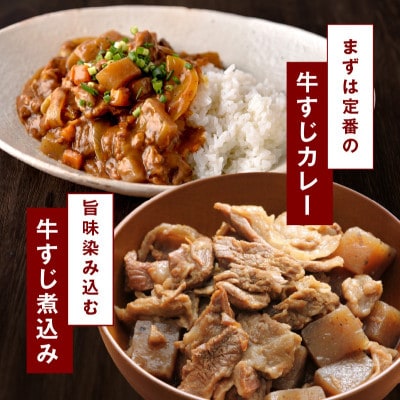 牛すじ肉 総量 1kg 真空パック 500g×2P 氷温熟成×極味付け 小分け mrz0258