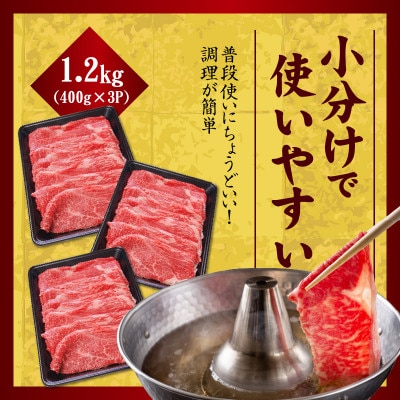 【氷温熟成×極味付け】国産牛肉 赤身スライス(うで もも)1.2kg 丸善味わい加工 mrz0255