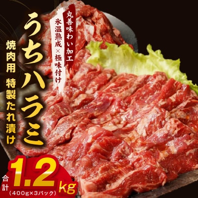 【氷温熟成×特製ダレ】希少部位 牛肉 うちハラミ 1.2kg(400g×3) mrz0252