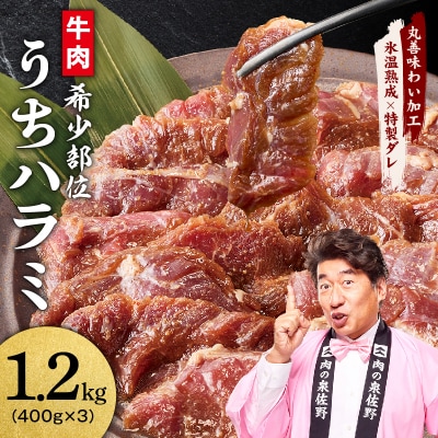 【氷温熟成×特製ダレ】希少部位 牛肉 うちハラミ 1.2kg(400g×3) mrz0252-1