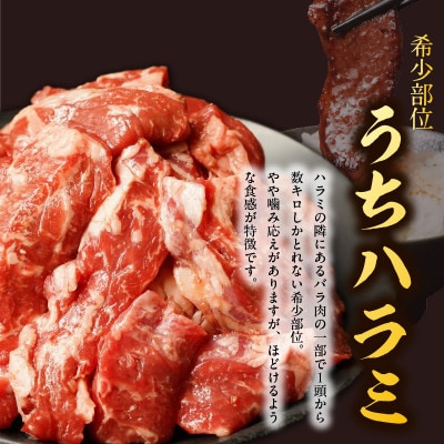 【氷温熟成×特製ダレ】希少部位 牛肉 うちハラミ 1.2kg(400g×3) mrz0252