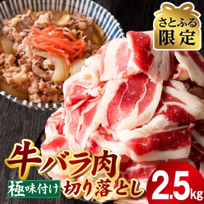 【さとふる限定】牛バラ肉 切り落とし 2.5kg 氷温熟成×極味付け mrz0358 