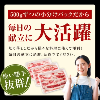 牛バラ肉 切り落とし 2.5kg 氷温熟成×極味付け mrz0358
