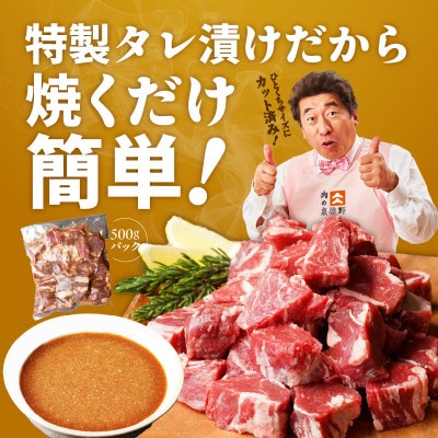 【お試し】牛ヒレ肉 切り落とし 500g 小分け 500g×1P 氷温熟成×特製ダレ mrz0309