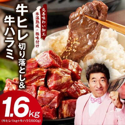 【氷温熟成×特製ダレ】牛ヒレ 1kg+牛ハラミ 600g 合計1.6kg mrz0313