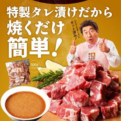 【氷温熟成×特製ダレ】牛ヒレ 1kg+牛すじ肉 1kg 総量2kg 訳あり mrz0380