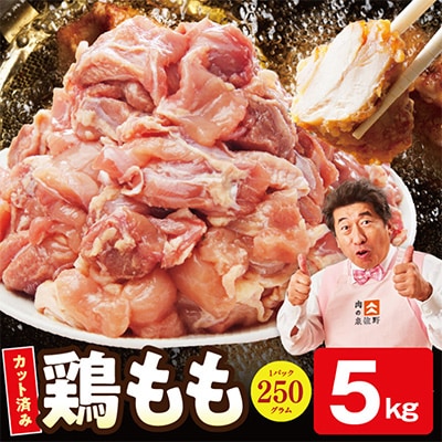 【特別規格】国産 鶏もも肉 切身 5kg 【氷温熟成×極味付け 小分け 味付き】 