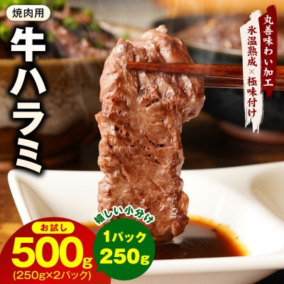 【お試し】牛肉 ハラミ 500g(250g×2P)【氷温熟成×極味付け】 mrz0386
