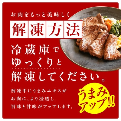 【お試し】牛肉 ハラミ 500g(250g×2P)【氷温熟成×極味付け】 mrz0386