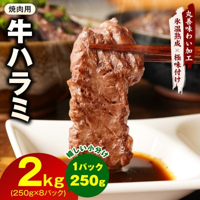 【氷温熟成×極味付け】牛肉 ハラミ 2kg(250g×8P) mrz0387