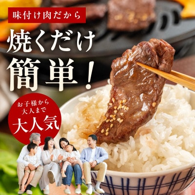 【氷温熟成×極味付け】牛肉 ハラミ 2kg(250g×8P) mrz0387