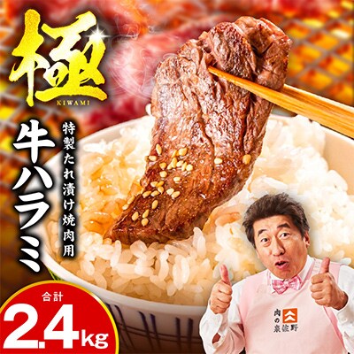 【氷温熟成×特製ダレ】牛肉 ハラミ 2.4kg(300g×8P) mrz0389