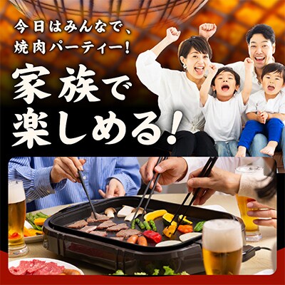 【氷温熟成×特製ダレ】牛肉 ハラミ 2.4kg(300g×8P) mrz0389