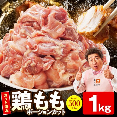 【特別規格】国産 鶏もも肉 ポーションカット 1kg  氷温熟成×極味付け 小分け mrz0394