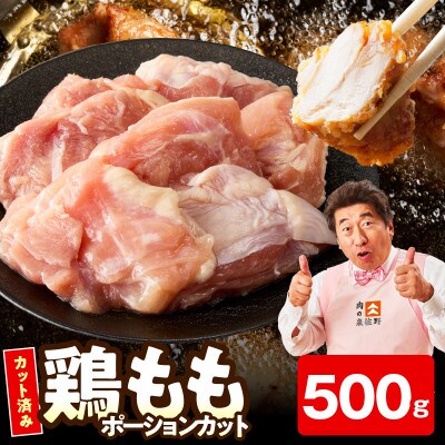 【お試し規格】国産 鶏もも肉 ポーションカット 500g 氷温熟成×極味付け 小分け mrz0395