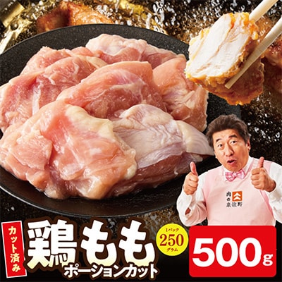 【お試し規格】国産 鶏もも肉 ポーションカット 500g 氷温熟成×極味付け 小分け 