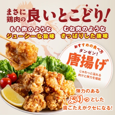 国産鶏とろ(肩肉)3kg 氷温熟成×極味付け 小分け 味付き 簡単調理 訳あり mrz0392